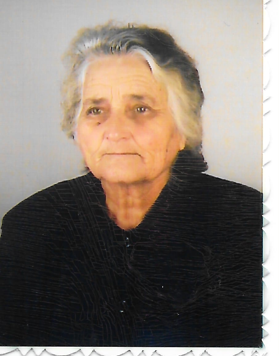 Custódia Sofia Felix